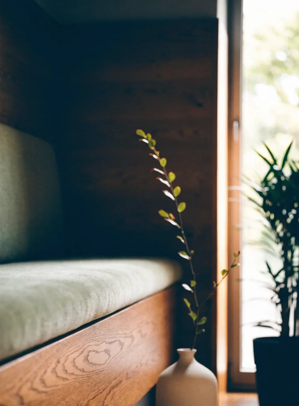 A quiet corner of Alder House Clinic: a sage waiting bench, warm oak panelling and an alder sprig by the window.